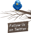 Follow us on Twitter